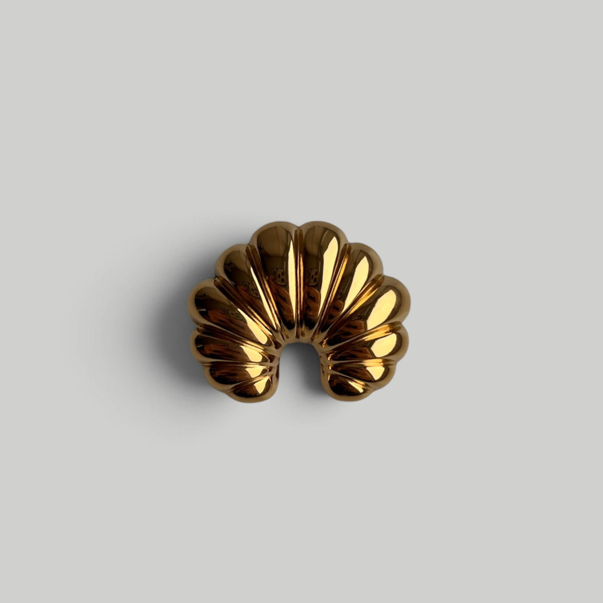 Sagė „Golden Fan“ - MUNÉ