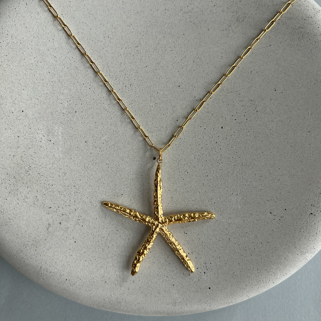 Long chain necklace with sea star pendant