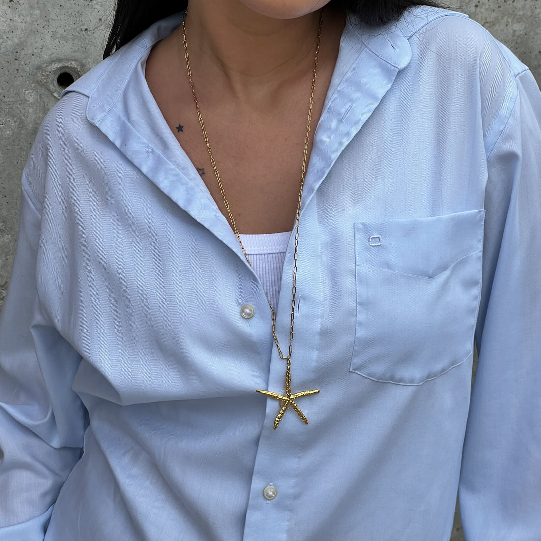 Long chain necklace with sea star pendant