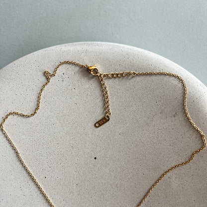 Minimalistic chain necklace with a shell pendant