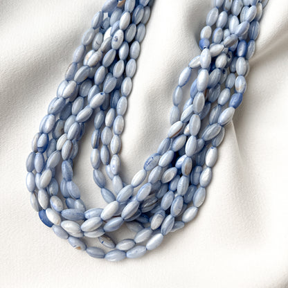 Sea shell necklace_blue