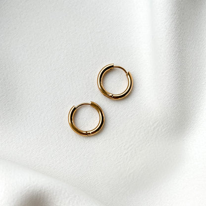 Hoop Earrings