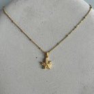 Chain necklace with sea star - MUNÉ